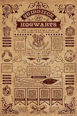 Buy Harry Potter Quidditch At Hogwarts 91.5 X 61cm Maxi Poster New Official Merch • 7.20£