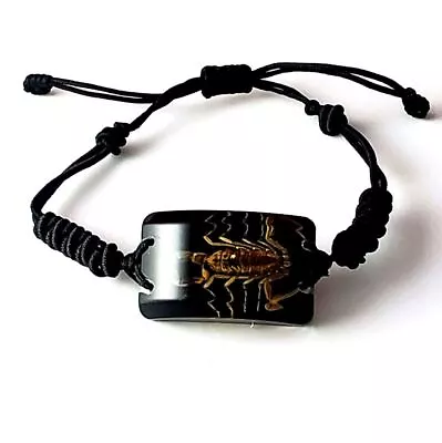 Buy Scorpion Black Square Bracelet Goth Occult Pagan Alt Taxidermy • 9.64£