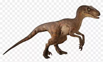 Buy Raptor Dinosaur Jurassic Park World Movie Iron On Tee T-shirt Transfer • 2.39£