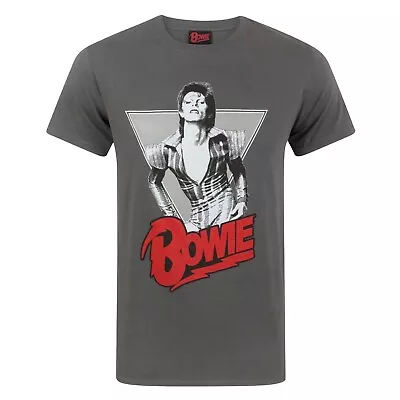 Buy David Bowie Mens Ziggy Stardust T-Shirt NS4376 • 16.01£