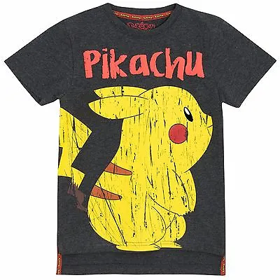 Buy Pokemon T-Shirt | Boys Pokemon Top | Pokemon Pikachu Short Sleeve Tee | New • 12.99£