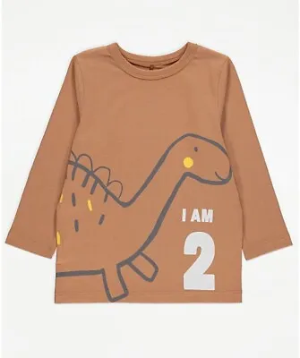 Buy Baby Boys Tan I Am Two Dinosaur Print Birthday Top 12-18 Months • 4.59£