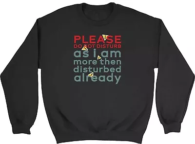Buy Do Not Disturb Kids Sweatshirt I Am Disturbed Already Funny Joke Boy Girl Jumper • 12.99£