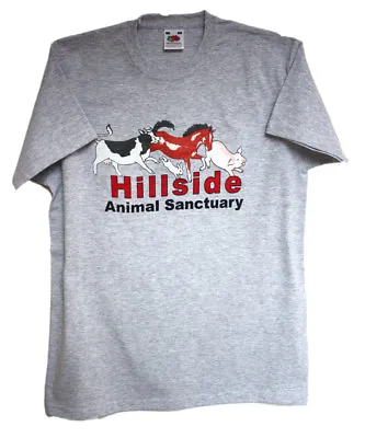 Buy Hillside Animal Sanctuary Children's Quality T-Shirt In Pink Or Light Grey. • 6£