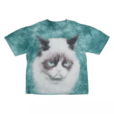 Buy THE MOUNTAIN Grumpy Cat Boys T-Shirt Blue S • 12.99£