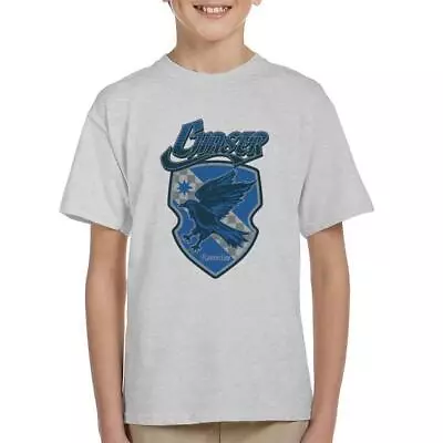 Buy Harry Potter Quidditch Chaser Team Ravenclaw Kid's T-Shirt • 14.95£