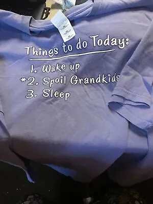Buy Wake Up Spoil Grand Kids Heavy Weight Blue Tee Shirt Size 2X • 7.23£