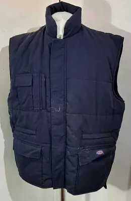 Buy Dickies Padded Blue Vest Jacket - XL • 8£