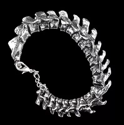 Buy Alchemy Gothic Wrist Jewellery - Vertebrae - Fantasy Skeleton Bangle Bracelet • 65.72£