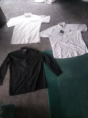 Buy Multi Buy 3 X Dickies Mens Shirts  Black And White • 5£