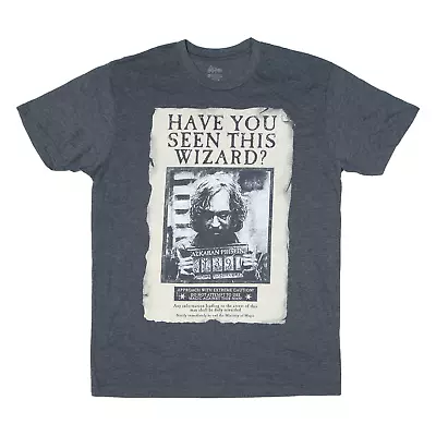 Buy HARRY POTTER Sirius Black Mens T-Shirt Grey M • 9.99£