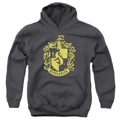 Buy Harry Potter Hufflepuff Crest - Youth Hoodie • 28.42£