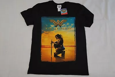 Buy Wonder Woman Movie Sword Kneeling Poster T Shirt New Official Film  Dc Comics • 7.99£