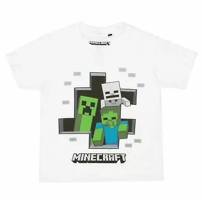 Buy Minecraft Boys Busting Out Creeper T-Shirt White 3-8 Years Official • 7.99£