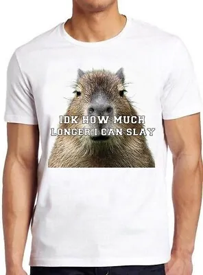 Buy Idk How Much Longer I Can Slay Capybara Sarcastic Dank Funny Gift T Shirt M945 • 6.35£