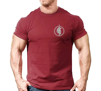 Buy Spartan Sword + Shield LB Gym T Shirt Mens Gym Top Tee Training Bodybuilding  • 8.99£