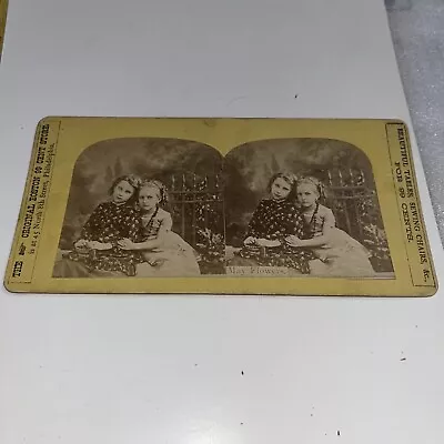 Buy Innocent Young Girls Hugging Stereoview Card: May Flowers - Boston 99 Cent Store • 37.07£