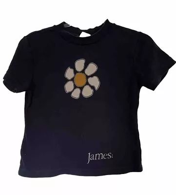 Buy Vintage James Babydoll Shirt 90s Indie Manchester Blue Grape Rock Band Tour Rare • 55£