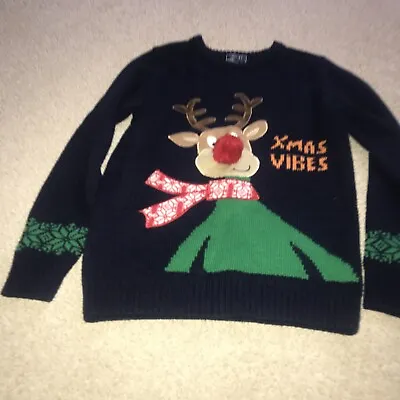 Buy Boys Christmas Jumper Next Age 9-10 Years • 4.99£