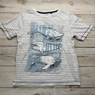 Buy T-shirt Size 5 Years Striped White Grey Whales Boys  • 4.99£