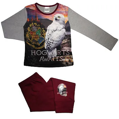 Buy Girls Harry Potter 'Hogwarts Awaits' Pyjamas - Size 5-6 Years • 3.99£