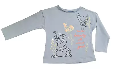 Buy Disney Bambi And Thumper Long Sleeve Top Girls Tshirt Blue  Spring Bunnys • 4.50£
