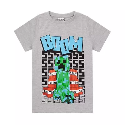 Buy Minecraft Boys Boom T-Shirt NS6498 • 13.80£