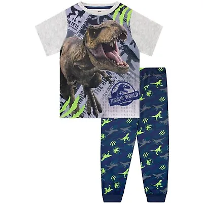 Buy Boys Jurassic World Pyjamas | Kids Dinosaur PJs | Dinosaur Sleepwear For Kids • 17.99£