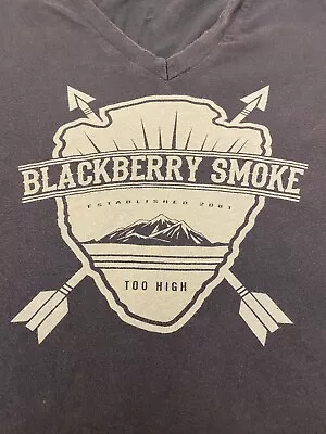 Buy Womens V-neck Blackberry Smoke Gray T Size Large (no Tag Size By Measurements) • 17.95£