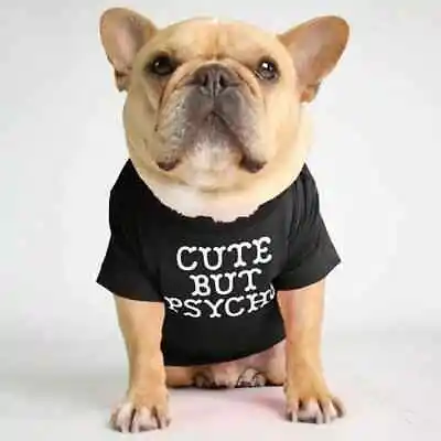 Buy Black Dog Cat Pet Slogan (Cute But Psycho) T-Shirt Size SMALL (31cm Chest)* • 5.99£