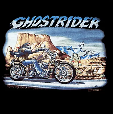 Buy Kids Ghost Rider T-Shirt By Easyriders Dave Mann (various Sizes) • 10£