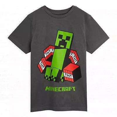 Buy Minecraft Graphic T Shirt Figures Creeper For Boys Teens • 10.49£