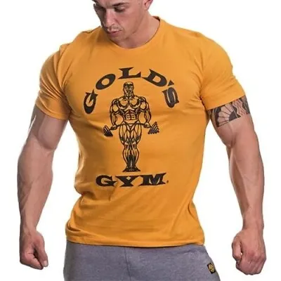 Buy Golds Gym Mens Sportswear Stylish Training Muscle Joe T Shirt Sizes From S To XL • 17.96£