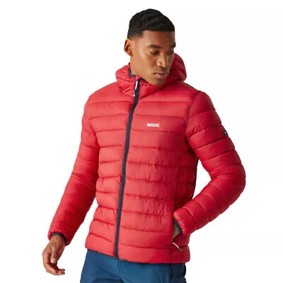 Buy Regatta Mens Hooded Marizion Padded Puffer Jacket • 43.43£