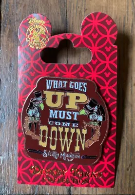 Buy Splash Mountain Pin - What Goes Up Must Come Down - Cancelled Disney Merch • 15.20£