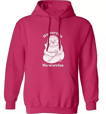 Buy No Hurries No Worries, Hoodie / Sweater Animal Sloth Bear Hugs Sleepy Nap 7209 • 25.95£