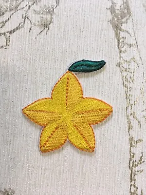 Buy Embroidered Iron On Patch: Kingdom Hearts Paopu Fruit. • 4.50£