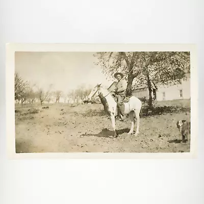 Buy Cowboy Riding Horse Ranch Photo 1920s Old West Pet Dog Western Snapshot A4334 • 24.05£