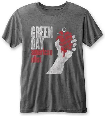 Buy Green Day American Idiot Vintage Burnout T-Shirt - OFFICIAL • 14.89£