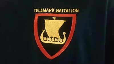 Buy Norwegian Army Telemark Battalion Hoodie • 22.45£