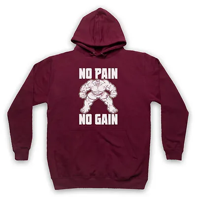 Buy No Pain No Gain Bodybuilding Slogan Gym Workout Muscle Unisex Adults Hoodie • 27.99£