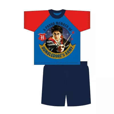 Buy Harry Potter Boys Short Shortie Summer Pyjamas. Ages 4 To 10 Years • 8£