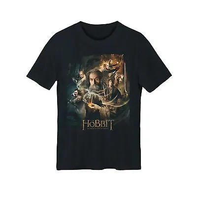 Buy The Hobbit The Desolation Of Smaug Adult T-Shirt • 18.99£