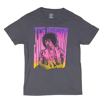 Buy AUTHENTIC HENDRIX Jimi Hendrix Mens Band T-Shirt Grey S • 8.99£