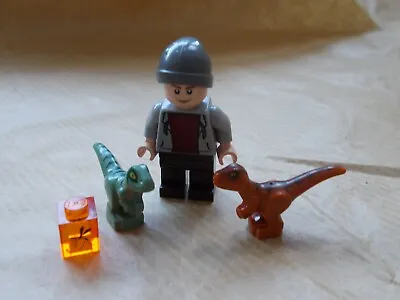 Buy New Lego Jurassic World Guard Mosquito Amber Raptor Baby Dinosaurs Animals. Pick • 4.15£