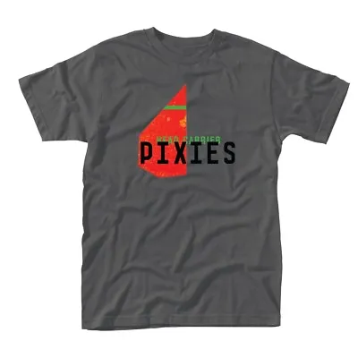 Buy The Pixies 'Head Carrier' Grey T Shirt - NEW • 16.99£
