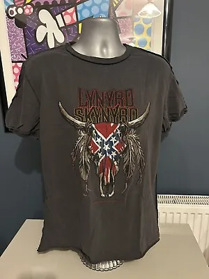 Buy Amplified Lynyrd Skynyrd Rock T Shirt Size Medium / Large • 13£
