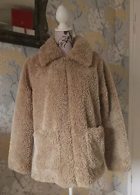 Buy Women’s NEW LOOK Teddy Fur Coat, Zip Up Jacket Size Medium.  • 10£