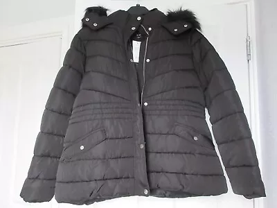 Buy Ladies Puffer Style Black Hooded Jacket • 28£