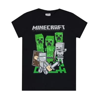 Buy Minecraft Childrens/Kids Adventure Logo T-Shirt NS6921 • 14.25£
